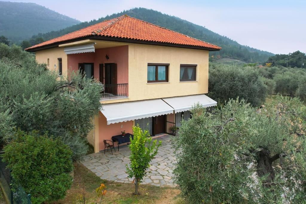 Olive'S House Villa Skala Rachoni  Bagian luar foto
