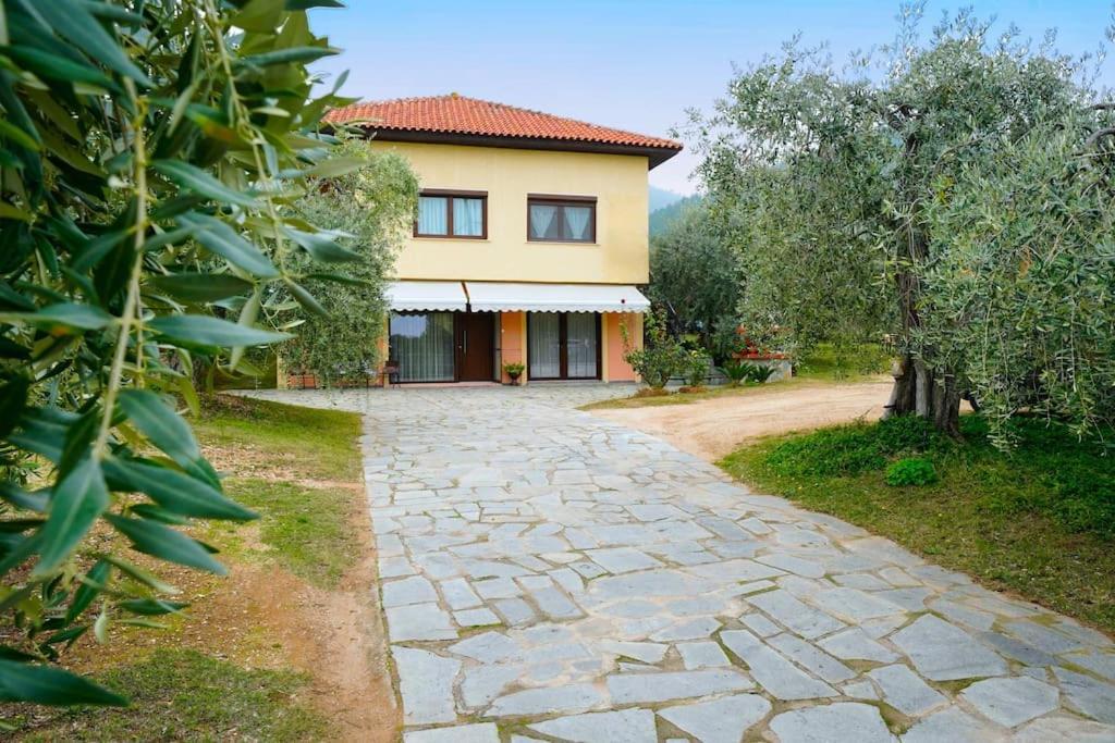 Olive'S House Villa Skala Rachoni  Bagian luar foto